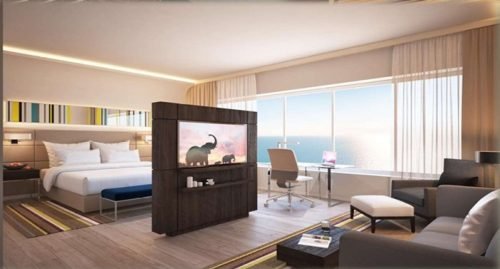 WhatsApp-Image-2025-07-16-at-2.52.46-PM-3